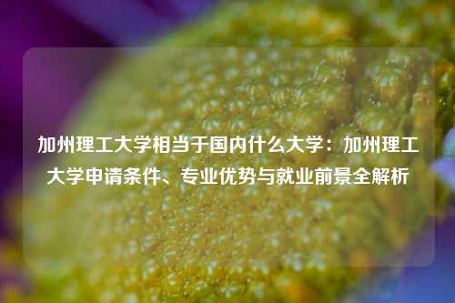 加州理工大学相当于国内什么大学:加州理工大学申请条件、专业优势与就业前景全解析