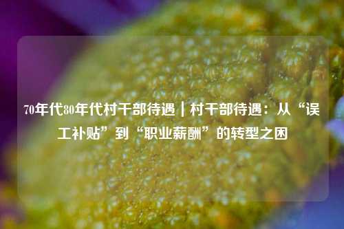 70年代80年代村干部待遇|村干部待遇:从“误工补贴”到“职业薪酬”的转型之困