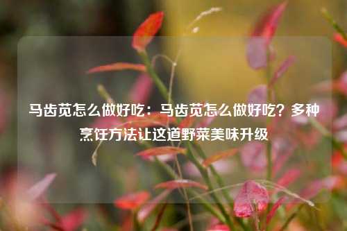 马齿苋怎么做好吃:马齿苋怎么做好吃?多种烹饪 让这道野菜美味升级