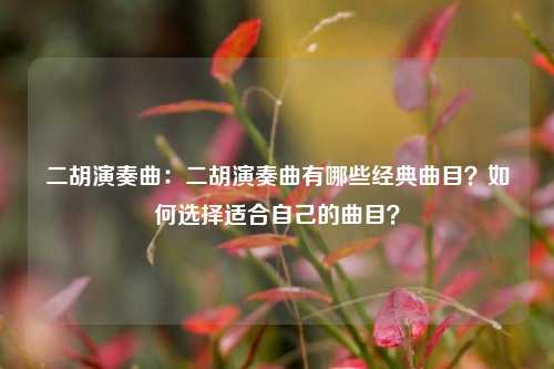 二胡演奏曲:二胡演奏曲有哪些经典曲目?如何选择适合自己的曲目?