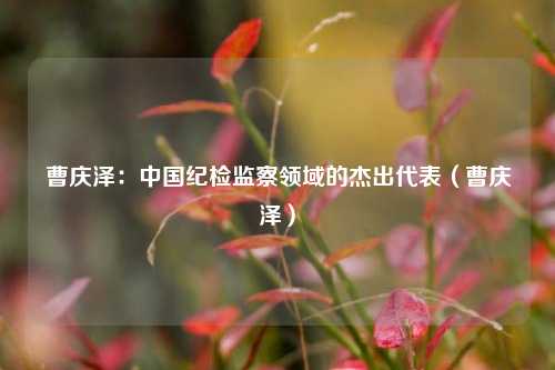 曹庆泽:中国纪检监察领域的杰出代表(曹庆泽)