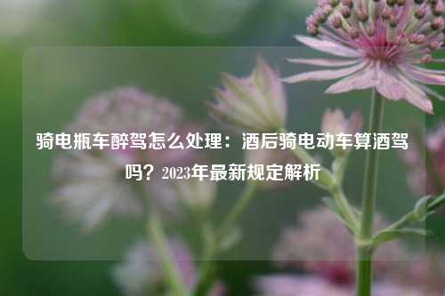 骑电瓶车醉驾怎么处理:酒后骑电动车算酒驾吗?2023年最新规定解析