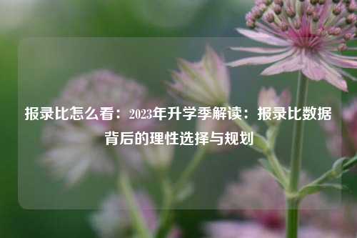 报录比怎么看:2023年升学季解读:报录比数据背后的理性选择与规划