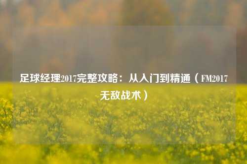 足球经理2017完整攻略:从入门到精通(FM2017无敌战术)