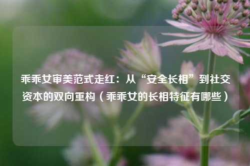 乖乖女审美范式走红:从“安全长相”到社交资本的双向重构(乖乖女的长相特征有哪些)
